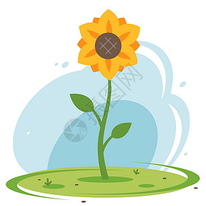 向日葵发芽蓝天对准绿草地上的黄向日葵插画