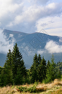 乌克兰喀尔巴阡山脉的风景 乌克兰山脊之旅高山木头远足松树天空草地杜鹃花云杉旅游衬套图片