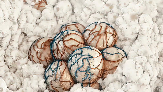 大脑高清素材Alveolar和二氧化碳释放 3D现实化插图胸部微生物学药品男性生物学空腔肺泡艺术品气体蓝色背景