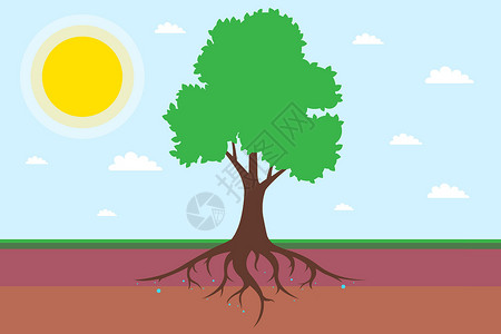 老树根局部树根系统有叶子 将土壤分成一层 (此处)插画