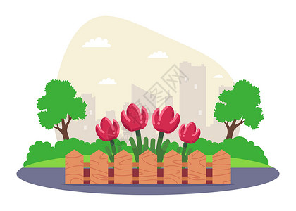 盛开郁金香树带木栅栏的花花床插画