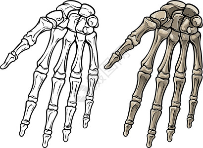 右侧距骨图形化黑白人骨肉手向矢量设计图片