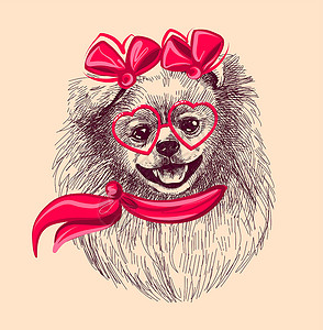 塔斯卡尼亚波美拉尼亚狗戴着时髦的眼镜和围巾 一张用手画出来的草图 在孤立的背景中的矢量上插画