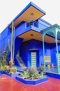 圣罗兰摩洛哥马拉喀什Majelle花园蓝色别墅 摩洛哥马拉喀什绿色热带旅行房子建筑植物学花园建筑学植物棕榈背景
