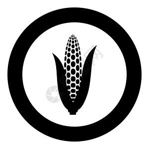 玉米生长圆圆圆黑色矢量插图图像固体轮廓样式中的角耳图标设计图片