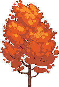 红叶树 秋叶林植物插画