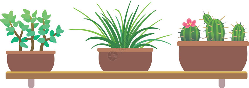 造型仙人掌花罐中室内植物 卡通家庭绿化架插画