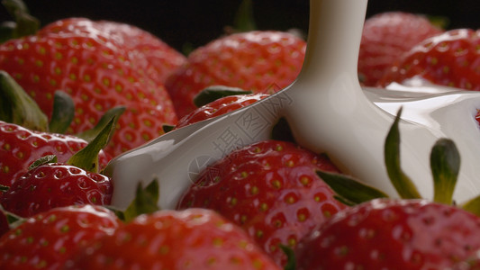 酸奶倒在草莓上水果宏观小吃广告红色甜点牛奶白色黑色食物背景图片