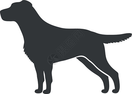 巧克力拉布拉多犬拉布拉多抓取器光影 指向有趣的狗伙伴 矢量图标设计图片