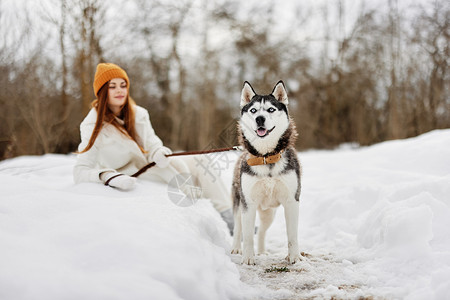 绅士狗雪中快乐的年轻女子与狗在户外玩耍 友谊新鲜空气背景