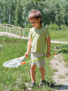 捕蝶网小孩子用蝴蝶网在户外散步 儿童暑假休闲活动 昆虫狩猎背景