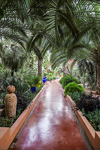 圣罗兰花园摩洛哥马拉喀什Majelle花园花园旅行棕榈旅游热带蓝色房子绿色植物植物学背景