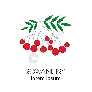 Rowanberry线性图标高清图片