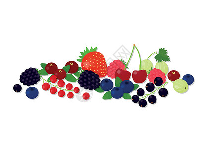 黑布朗和蓝莓不同浆果的构成插画