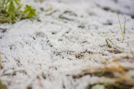 地面霜长草覆盖着第一个秋天的雪场地农田草地小麦农业土地墙纸地面阳光植物背景