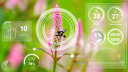 通过收集未来感测器数据 采用智能数字农业技术SIDR温室土壤环境收获网络花园作物图形有机食品显示器背景