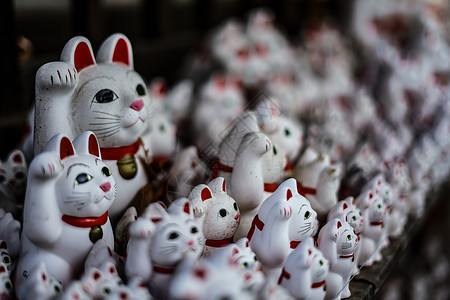 邀请猫 东京 上岛 的图片血管新年十二生肖配饰装饰品贺卡传统宠物娃娃财富背景图片