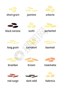 西班牙海鲜饭大米类型抛光美食烹饪种子食物农业餐厅营养谷物海鲜饭插画