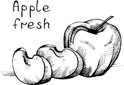 画草图孤立的矢量素描水果切片苹果插画