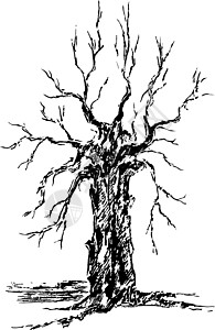 赫罗纳草图克罗纳和一棵树的树干插画