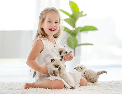 女孩有小猫的破布娃娃哺乳动物快乐布娃娃动物友谊猫咪女性宠物童年乐趣背景图片