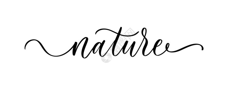 手写信自然书籍 包件设计 卡片 横幅 照片覆盖 徽标的手写字母短语设计图片