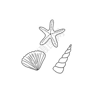 手绘海星贝壳面条外形的贝壳设计图片
