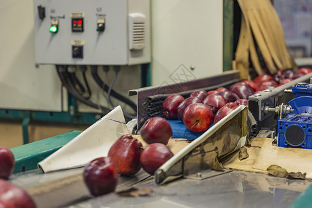 水果工厂包装线上的红苹果木桌机器人盒子中年农业工程水果贮存长方形生产背景