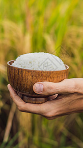手握着一杯煮饭大米的木杯 其背景是成熟的稻田为Instagram移动故事或小故事提供背景图片