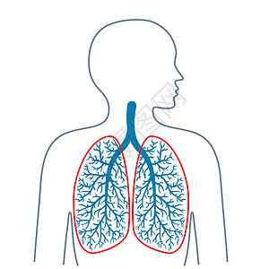 胸膜炎光 呼吸系统 药物和健康插画