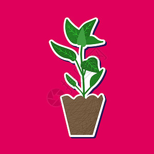 手剥山核桃粉色背景上隔绝的手画贴纸蔬菜幼苗; 梨锅中的胡椒 作为树苗; 家用花园矢量短片; 绿色自然平板元素插画