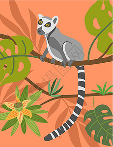 颈狐猴热带动物矢量 美丽的动物组成物 笑声哺乳动物动物群荒野宠物打印情调男生标识灵长类卡通片插画