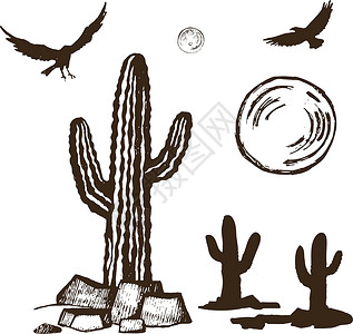 美国沙漠Cacti 和环形长尾乌鸦套装设计图片