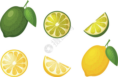 半个柠檬柑橘类水果 柠檬和酸橙的图像 柠檬片 半个酸橙 成熟的柑橘类水果 在白色背景上孤立的矢量图插画