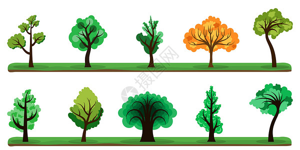 树群收藏 彩色树组 矢量树图标分离环境植物植物学松树插图叶子公园树干艺术花园背景图片
