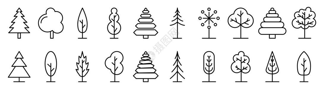 不同树木树图标 一系列线性树图标 不同的树条被隔开 矢量图解插画