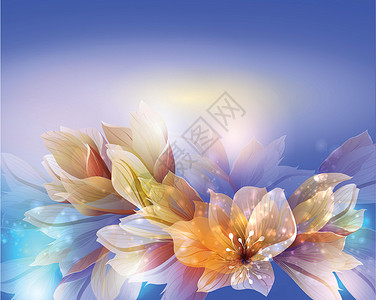 白花百合蓝色背景的白花设计图片