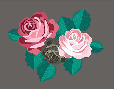 玫瑰花图标彩色古典草图背景图片