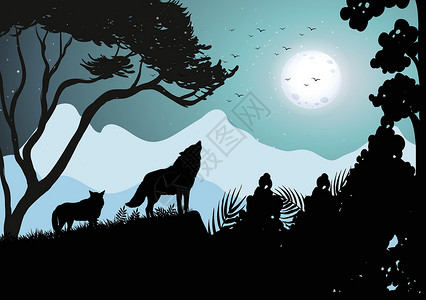 南通狼山野狼在满月的长月中咆哮插画