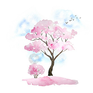 水彩风樱花背景水彩手绘设计插图粉红色樱花树盛开的鲜花 天空 鸟类 落花 Hanami 节日传统日本日本文化 自然景观植物 春天三月四月的概念背景
