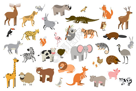 大型动物群以卡通风格的动物组成的大型矢量 与哺乳动物一起收集病媒插画
