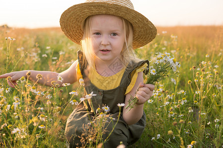 暖男型动毛笔字一个戴着草帽的金发小女孩拿着一束雏菊走在田野里 走在自然 自由和生态友好型生活方式中的概念孩子们植物童年帽子小家伙金发女郎野生动背景
