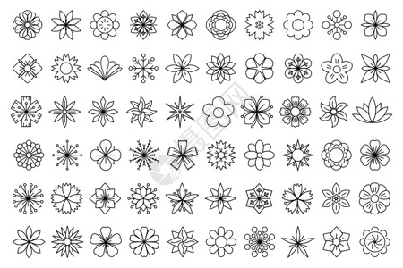 花图标 线性花图标集 矢量图茉莉花插图植物群艺术雏菊花瓣礼物郁金香玫瑰向日葵背景图片