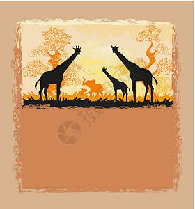 卡胡兰基国家公园非洲热带非洲草原卡插画