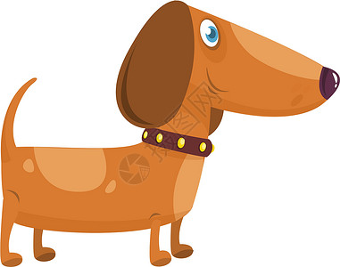 达克斯猎犬卡通有趣的Dachshund狗 矢量说明绘画舌头猎犬爪子贴纸衣领漫画插图快乐吉祥物插画