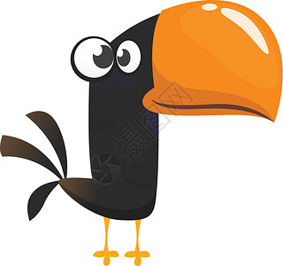 鹦鹉鸟Toucan 漫画 矢量鸟 异彩色鸟类插图绘画异国热带羽毛网络荒野艺术卡通片蓝色打印插画