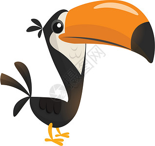 鹦鹉鸟Toucan 漫画 矢量鸟 异彩色鸟类插图网络情调艺术贴纸吉祥物异国羽毛翅膀橙子荒野插画