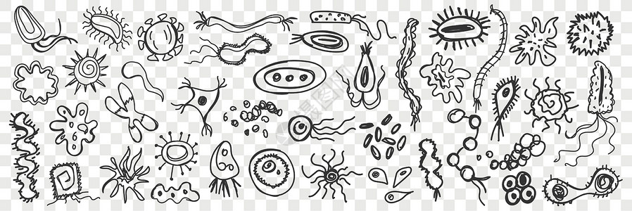 正常微生物群微生物 细菌手画的涂鸦设计图片