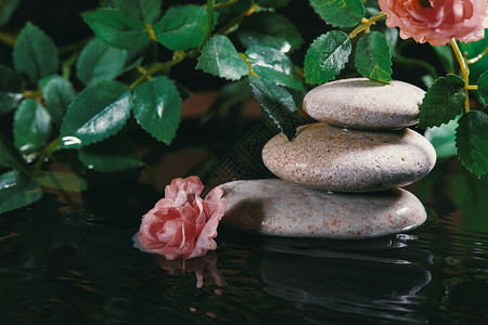 水平衡与Zen Stone Candle和植物在水中生活在一起 和谐 放松和保健 传统的东方精神概念福利治疗灵魂专注叶子平衡波浪反射冥背景