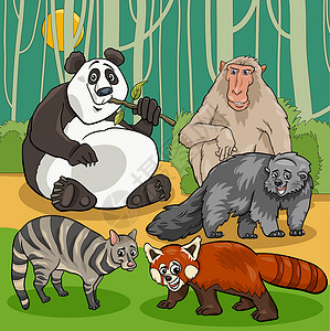 亚洲动物性格组(亚洲动物角色组)高清图片